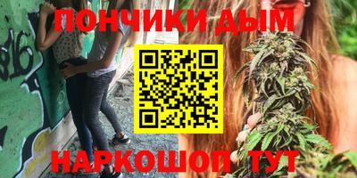 гидропоника Партизанск