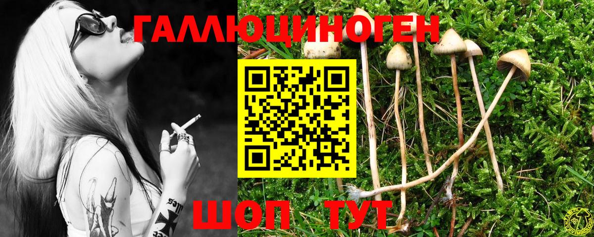 Псилоцибиновые грибы мухоморы Саратов